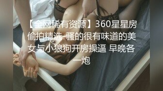 【全网稀有资源】360星星房偷拍精选-骚的很有味道的美女与小狼狗开房操逼 早晚各一炮