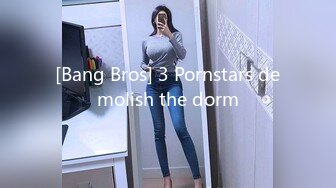 [Bang Bros] 3 Pornstars demolish the dorm