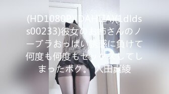 (HD1080P)(DAHLIA)(1dldss00233)彼女のお姉さんのノーブラおっぱい誘惑に負けて何度も何度もセックスしてしまったボク。 入田真綾