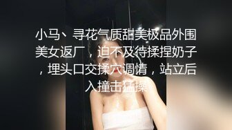 小马丶寻花气质甜美极品外围美女返厂，迫不及待揉捏奶子，埋头口交揉穴调情，站立后入撞击猛操