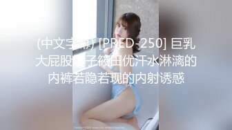 (中文字幕) [PRED-250] 巨乳大屁股嫂子筱田优汗水淋漓的内裤若隐若现的内射诱惑