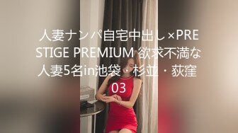 人妻ナンパ自宅中出し×PRESTIGE PREMIUM 欲求不満な人妻5名in池袋・杉並・荻窪 03