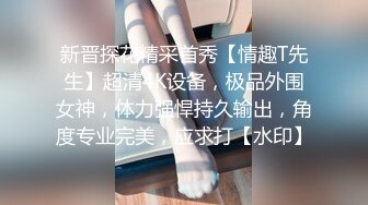 新晋探花精采首秀【情趣T先生】超清4K设备，极品外围女神，体力强悍持久输出，角度专业完美，应求打【水印】