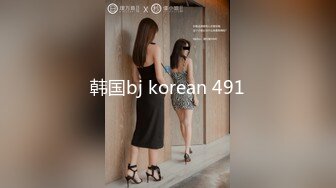 韩国bj korean 491