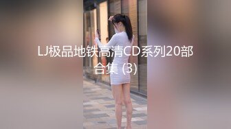 LJ极品地铁高清CD系列20部合集 (3)