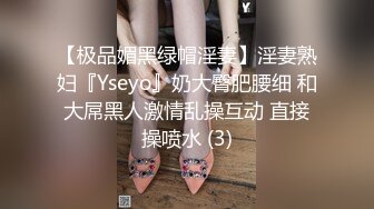 【极品媚黑绿帽淫妻】淫妻熟妇『Yseyo』奶大臀肥腰细 和大屌黑人激情乱操互动 直接操喷水 (3)