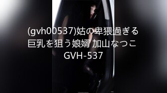 (gvh00537)姑の卑猥過ぎる巨乳を狙う娘婿 加山なつこ GVH-537